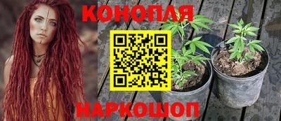 амф Коммунар